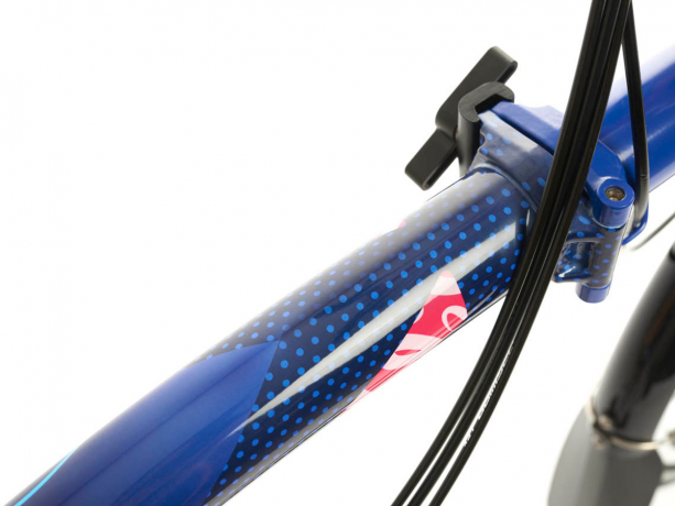 Brompton P Line Explore Paris Edition M12L